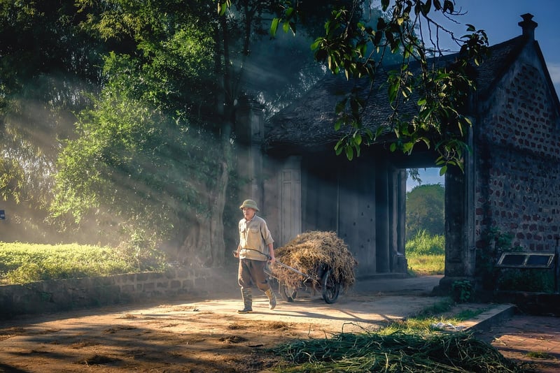 Quantum Transporters